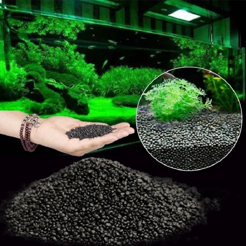 Planted Aquarium With Sand - Аквариум Вода Трава Грязь Растение Семена