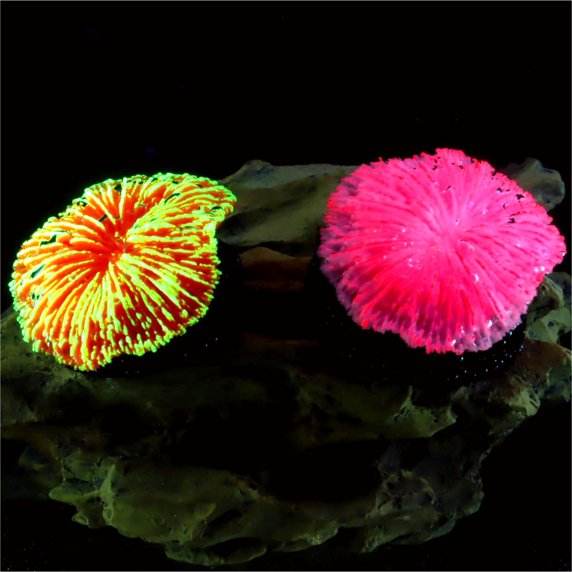 Aquarium Plant Live - 1 шт. Декоративный коралл для аквариума,
