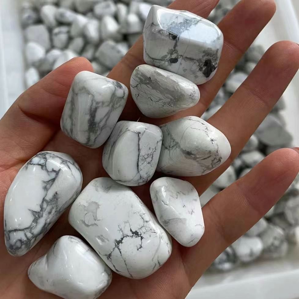 Натуральный белый бирюзовый ка – обзор и цена Planted Aquarium With Gravel