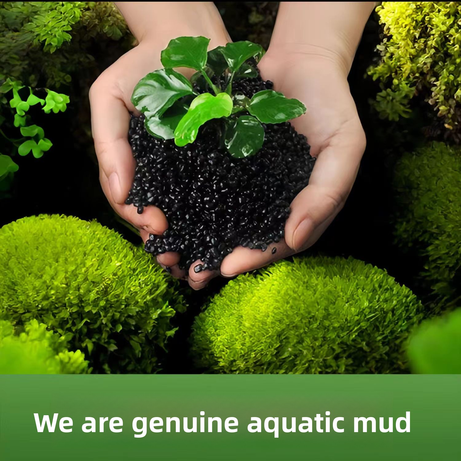 Некерамический песок для аквар – обзор и цена Planted Aquarium With Sand