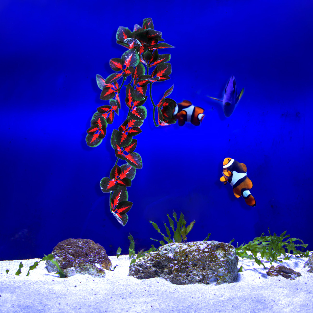 Декор для аквариума: искусстве – обзор и цена Aquarium Plant Red