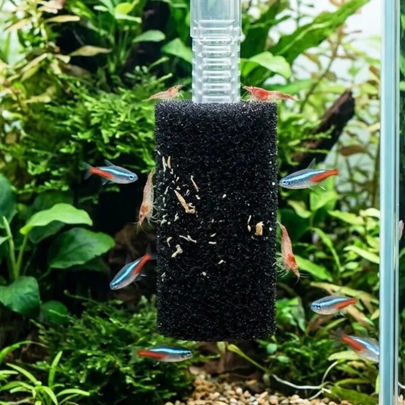 50/5x Предварительный фильтр-г – обзор и цена Aquarium Planted Filter