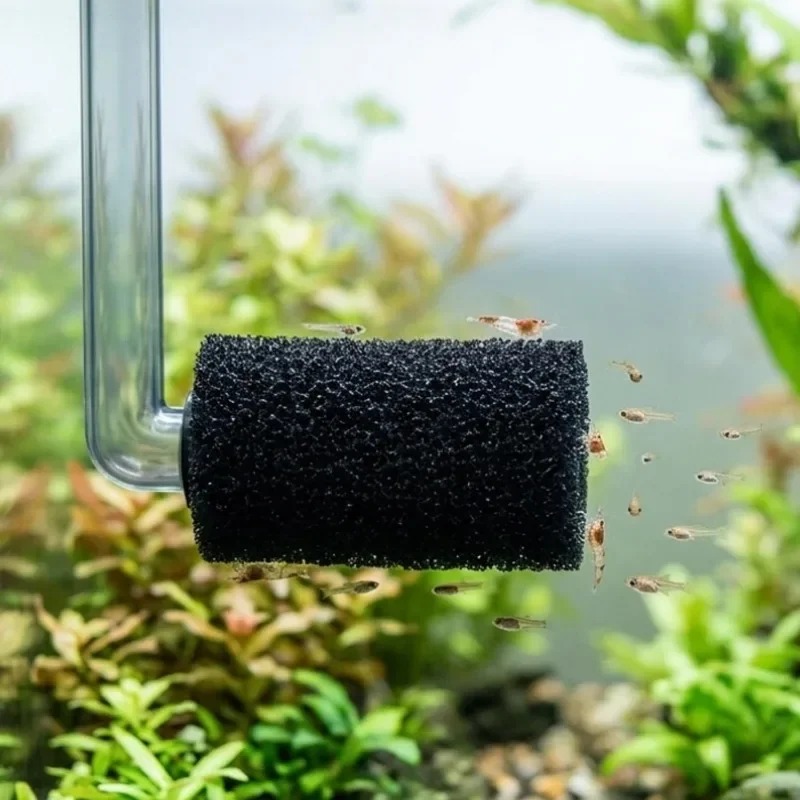 50/5x Предварительный фильтр-г – обзор и цена Aquarium Planted Filter