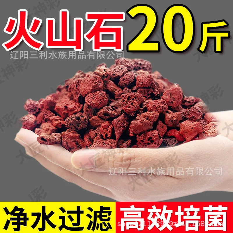 Натуральный пористый красный л – обзор и цена Aquarium Plant Red