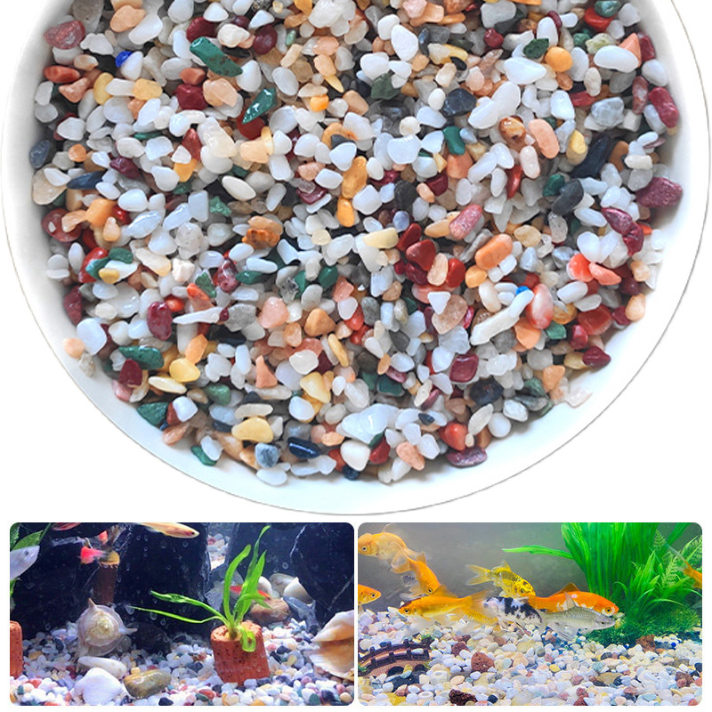 Натуральный гравий 200~1000 г  – обзор и цена Planted Aquarium With Sand