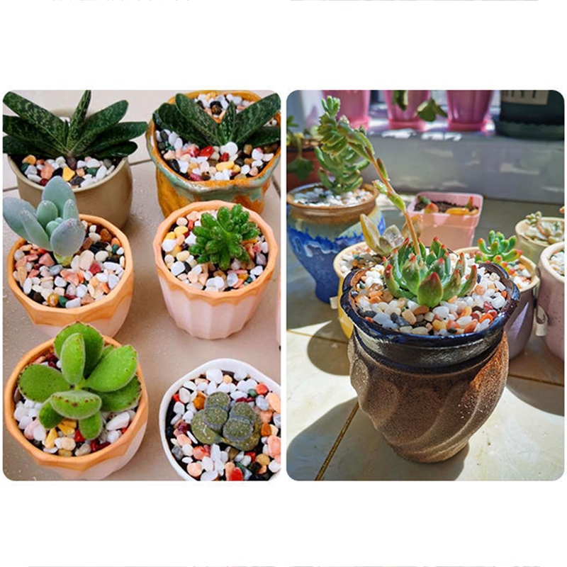 Наполнитель для аквариума: гру – обзор и цена Planted Aquarium With Sand