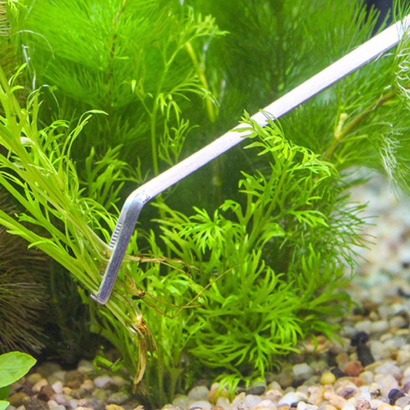 Профессиональный набор инструм – обзор и цена Aquarium Plant Live