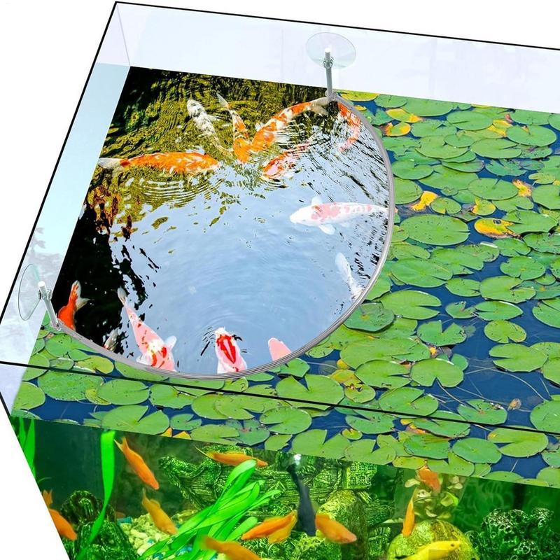 Плавающее кольцо для кормления – обзор и цена Aquarium Planted Filter