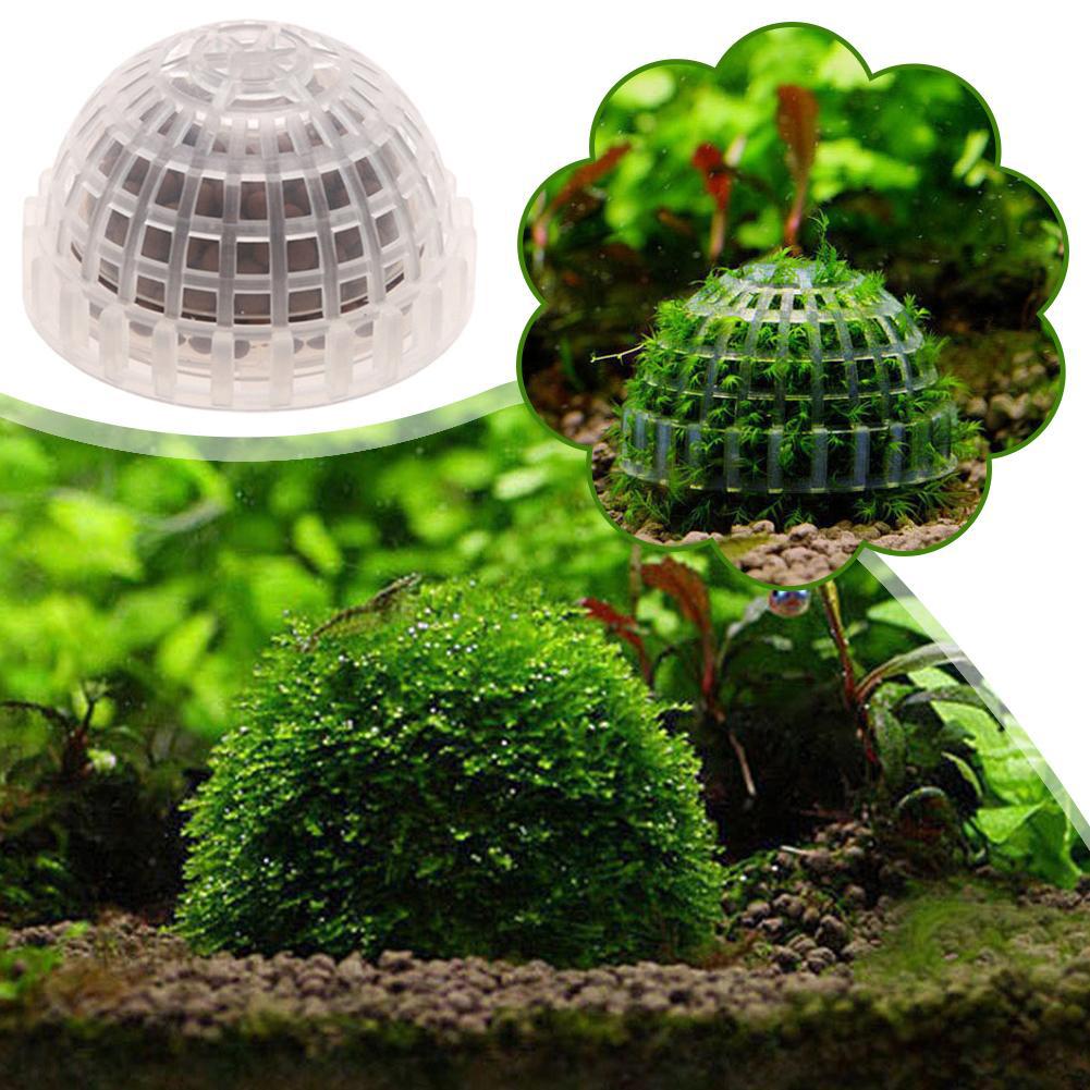 Украшение для аквариума, расте – обзор и цена Aquarium Plant Red