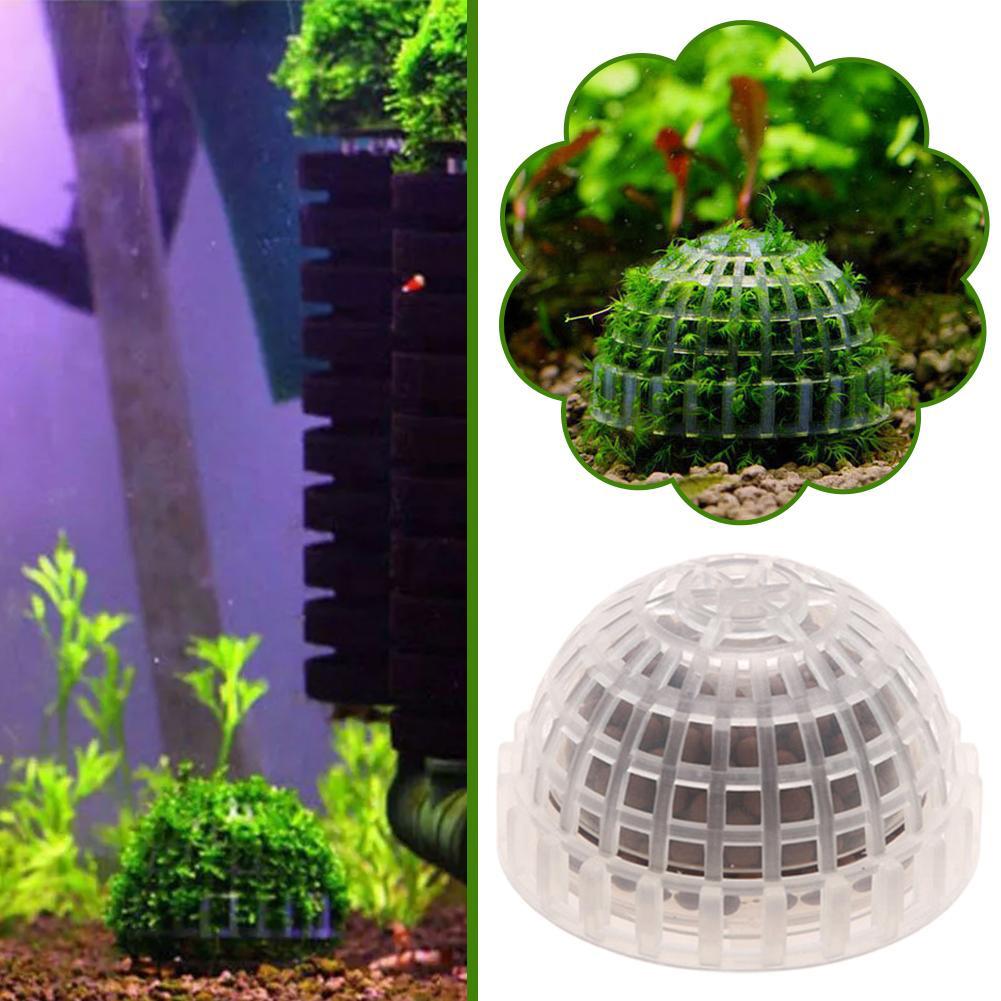 Украшение для аквариума, расте – обзор и цена Aquarium Plant Red