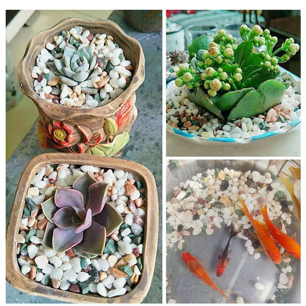 100 г натуральных кристаллов-г – обзор и цена Planted Aquarium With Sand