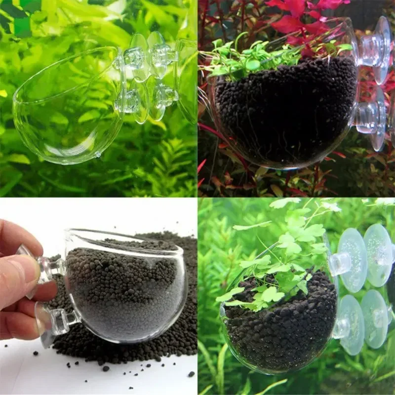 Прозрачная чаша для водных рас – обзор и цена Aquarium Plant Red