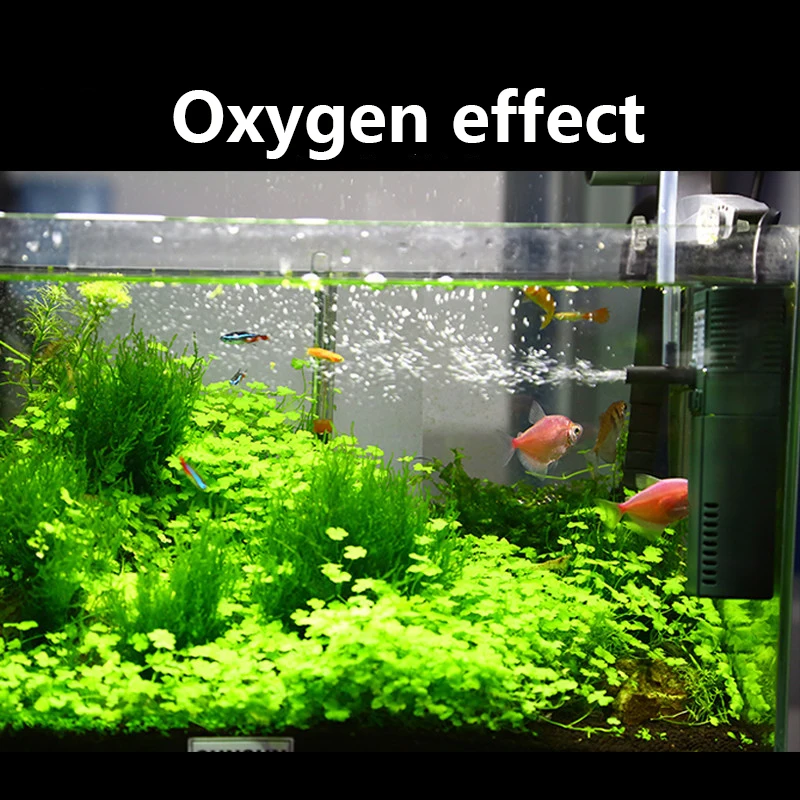 SUNSUN mini nano 111B 311B 611 – обзор и цена Aquarium Planted Filter